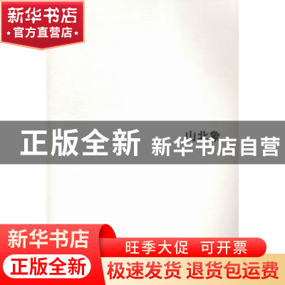正版 山北象 王征主编 中国民族摄影艺术出版社 9787512207677 书
