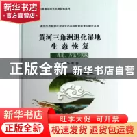 正版 黄河三角洲退化湿地生态恢复:理论、方法与实践 陆兆华等著