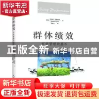 正版 群体绩效:有效管理的基石 [荷]伯纳德·尼斯塔特 人民邮电出