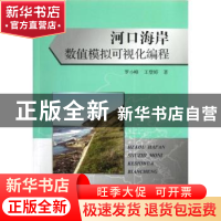 正版 河口海岸数值模拟可视化编程 罗小峰,王登婷著 海洋出版社