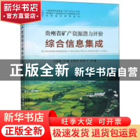 正版 贵州省矿产资源潜力评价综合信息集成 王常微等著 中国地质