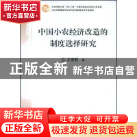 正版 中国小农经济改造的制度选择研究 王宪明著 中国经济出版社