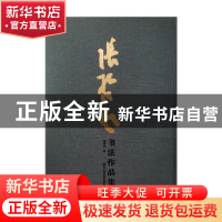 正版 张哲民书法作品集 张哲民著 浙江人民美术出版社 9787534077
