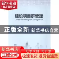 正版 建设项目群管理 傅道春著 人民交通出版社 9787114117220 书
