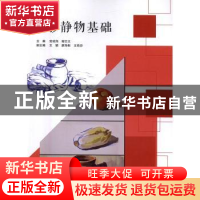 正版 色彩静物基础 宫成伟,谢志文主编 北京理工大学出版社 9787