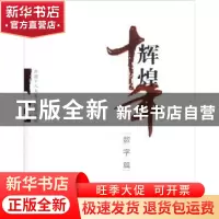 正版 辉煌十年:数字篇 辉煌十年编写组 学习出版社 9787514702972