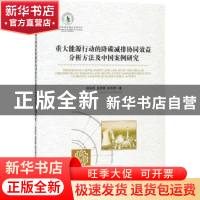 正版 重大能源行动的降碳减排协同效益分析方法及中国案例研究 欧