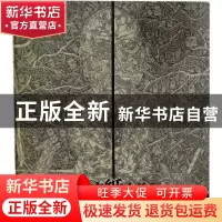 正版 张继文纸上绘画:[中英文本] 张继文绘 人民美术出版社 97871