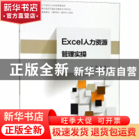 正版 Excel人力资源管理实操 高峰主编 中国人民大学出版社 97873