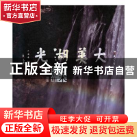 正版 大美湖光艺术作品集 胡晶编著 黑龙江美术出版社 9787531837