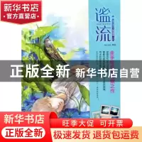 正版 谧流:win.tam个人精选画集 win.tam 岭南美术出版社 9787536