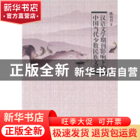 正版 汉语文学期刊影响下的中国当代少数民族文学 陈祖君 中国社