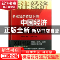 正版 多重复杂背景下的中国经济安全问题 雷家骕,林苞,王艺霖主