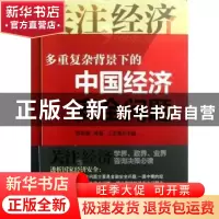 正版 多重复杂背景下的中国经济安全问题 雷家骕,林苞,王艺霖主
