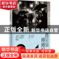 正版 遇见你 刚刚好 刘丽丽著 江苏凤凰文艺出版社 9787539980744