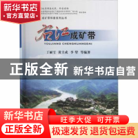 正版 右江成矿带 丁丽雪 黄圭成 李堃 等 中国地质大学出版社