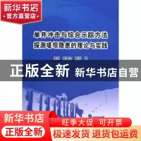 正版 单井冲击与综合示踪方法探测堤坝隐患的理论与实践 林统,陈