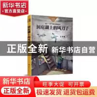正版 洞庭湖上的风刀子 王开林著 湖南少年儿童出版社 9787556241