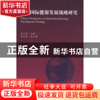 正版 中国国际能源发展战略研究 夏义善主编 世界知识出版社