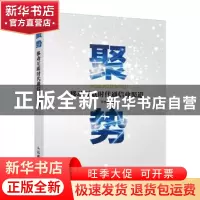 正版 聚势:移动互联时代通信业渠道 李祖鹏 人民邮电出版社 9787