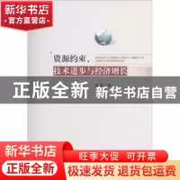 正版 资源约束、技术进步与经济增长 王双著 人民出版社 97870101