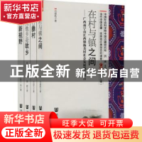 正版 当代中国边疆.民族地区典型百村调查-广西卷(第三辑) 郝国强