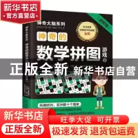 正版 神奇的数学拼图游戏2(进阶级) [法]拉美西斯·布恩科·沙弗