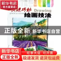 正版 快速巧妙绘画技法 [英]迈克尔·桑德斯[MichaelSanders]著 中
