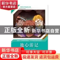 正版 地心游记 (法)儒勒·凡尔纳著 团结出版社 9787512641082 书