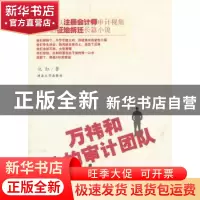 正版 万祎和他的审计团队 氿红著 河北大学出版社 9787566604071