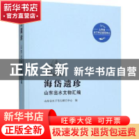 正版 海岱遗珍——山东出水文物汇编 山东省水下考古研究中心 文