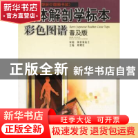 正版 人体解剖学标本彩色图谱:普及版:[中英文本] 胡耀民主编 广