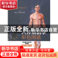 正版 人体解剖学彩色图谱 柏树令,刘元建,李洪鹏主编 上海科学