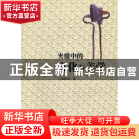 正版 夹缝中的文化与美学 何林军著 湖南师范大学出版社 97875648