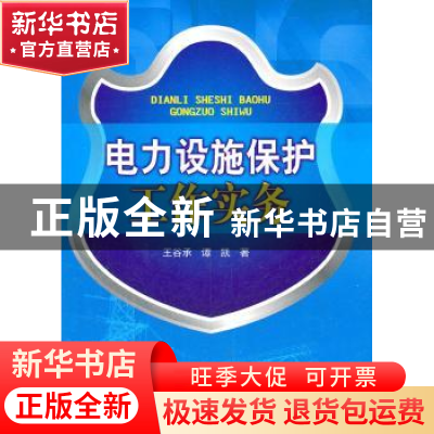 正版 电力设施保护工作实务 王谷承,谭凯著 中国电力出版社 9787