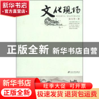 正版 文化现场 张大华著 江苏大学出版社 9787811302905 书