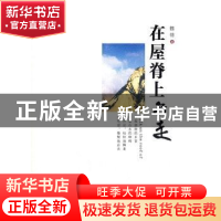 正版 在屋脊上行走 魏锦著 宁夏人民出版社 9787227047971