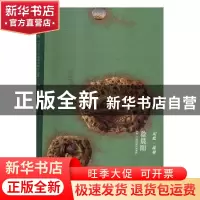正版 记忆·流星 徐晨阳 徐晨阳著 湖南美术出版社 9787535685810