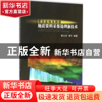正版 莺琼盆地高精度地震资料采集处理新技术 谢玉洪,李列编著