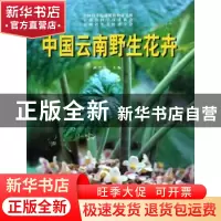 正版 中国云南野生花卉 武全安 中国林业出版社 9787503821950 书