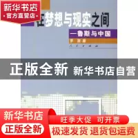 正版 在梦想与现实之间:鲁斯与中国 罗宣著 人民出版社 978701004