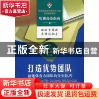正版 打造优势团队:创建强有力团队的全套技巧 [美]理查德·吕克