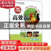 正版 高效养土鸡:视频升级版 魏刚才 机械工业出版社 97871115949