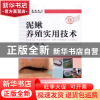 正版 泥鳅养殖实用技术 丁雷,王雪鹏主编 中国科学技术出版社 97