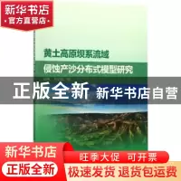 正版 黄土高原坝系流域侵蚀产沙分布式模型研究 祁伟,关见朝著