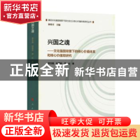 正版 兴国之魂:文化强国背景下的核心价值体系和核心价值观研究