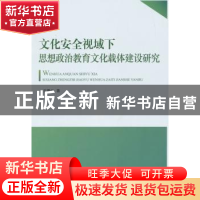 正版 文化安全视域下思想政治教育文化载体建设研究 王景云著 人