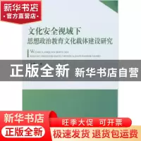 正版 文化安全视域下思想政治教育文化载体建设研究 王景云著 人
