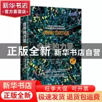 正版 合作的力量:群体工作原理与技巧:group theory and group sk