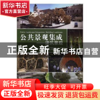 正版 公共景观集成:建筑景观:building landscape 广州市唐艺文化